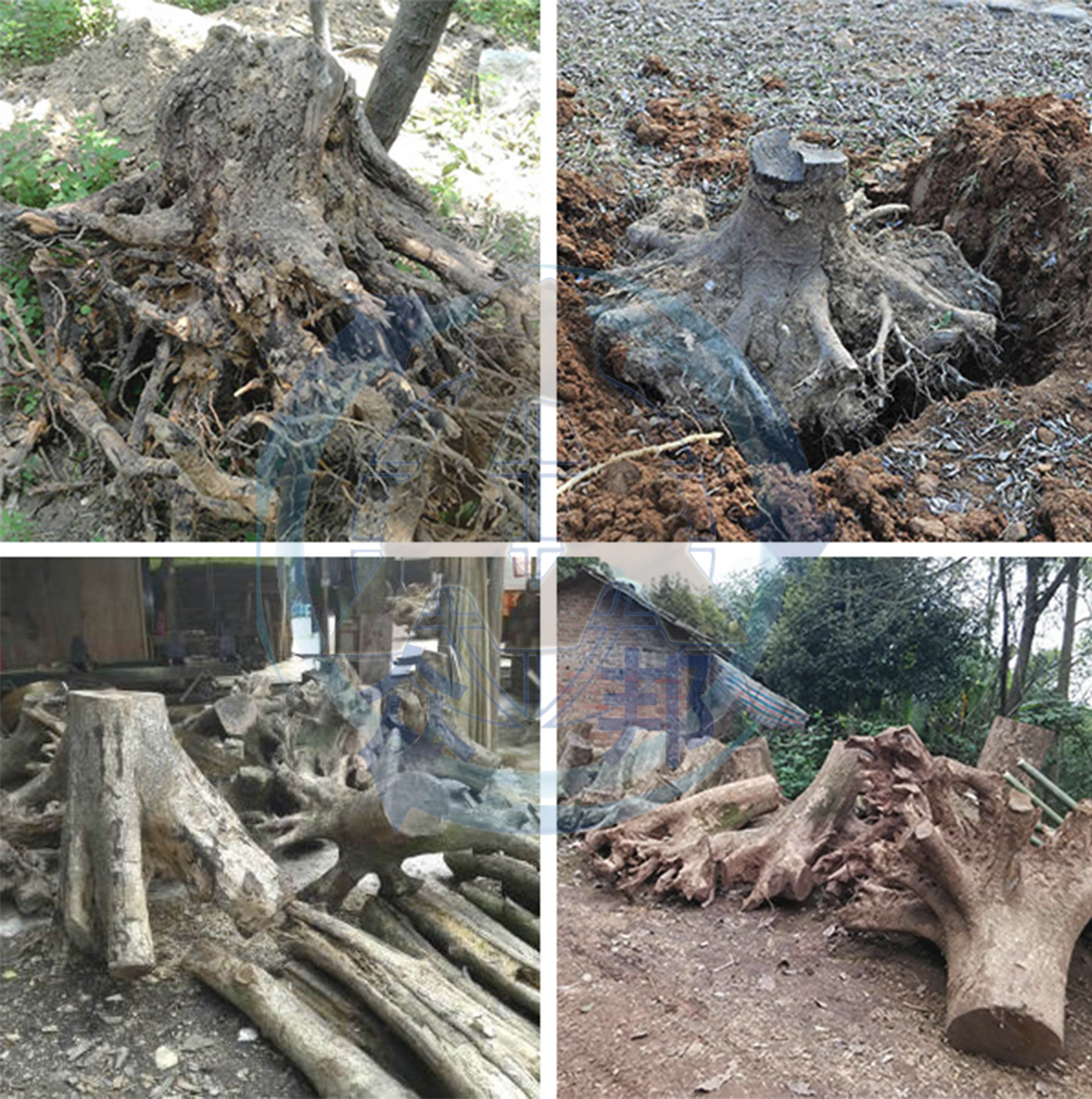 樹根破碎機破碎原料